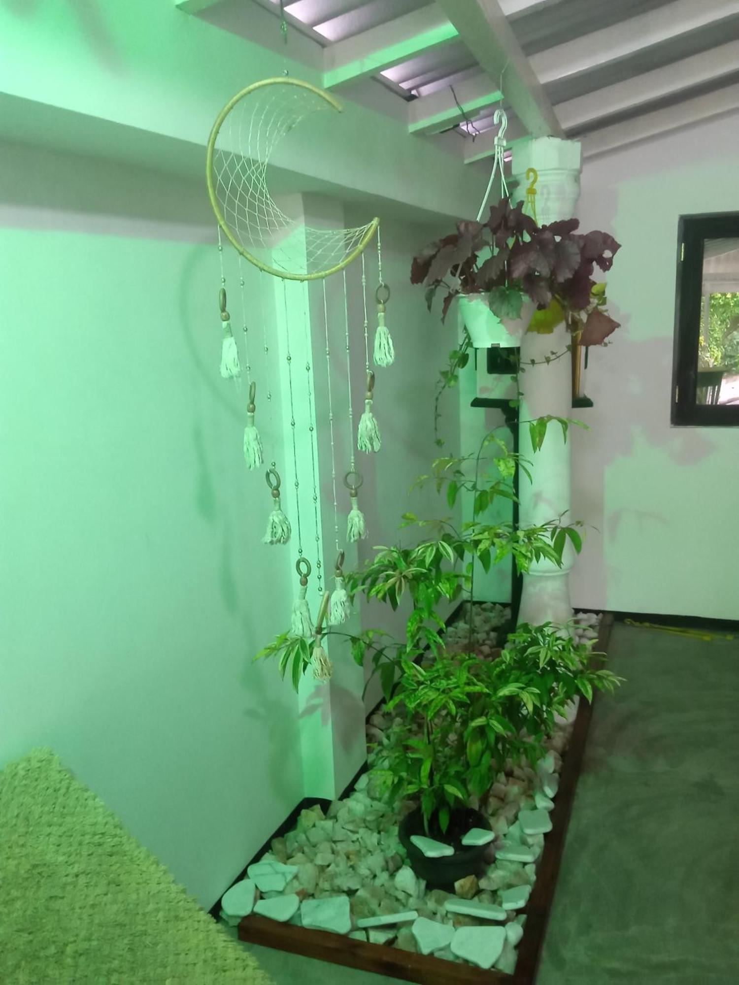 Green Bird Мириса Екстериор снимка