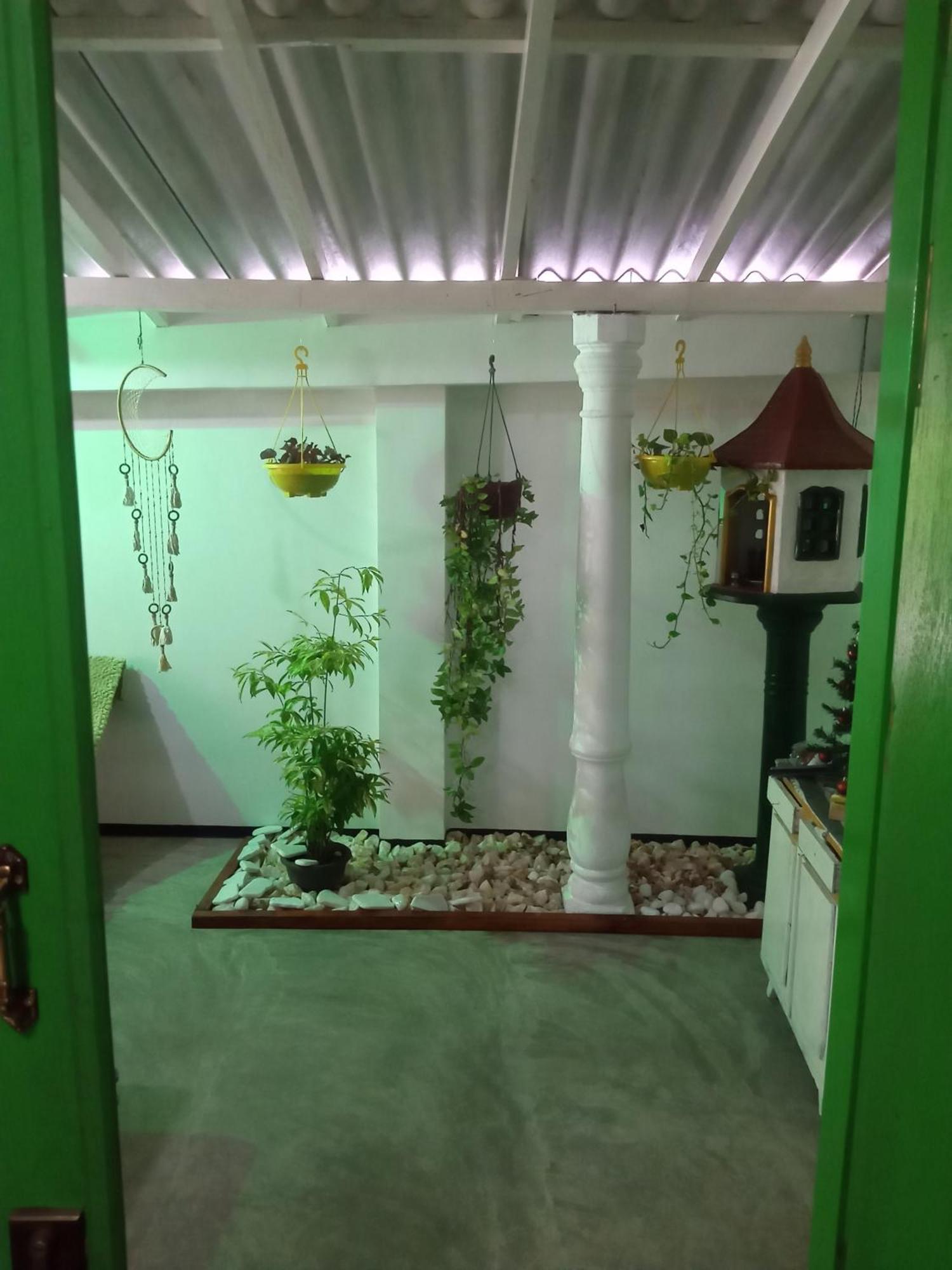 Green Bird Мириса Екстериор снимка